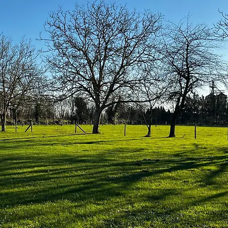 Le Ptit Poirier Кулон